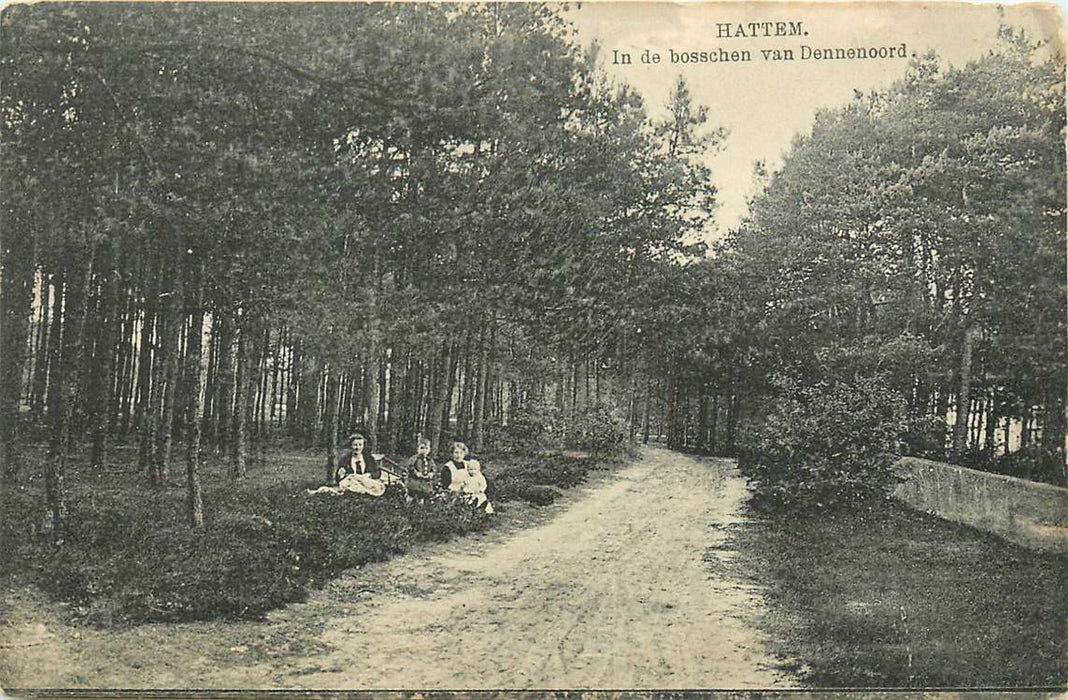 Hattem in de Bosschen van Dennenoord