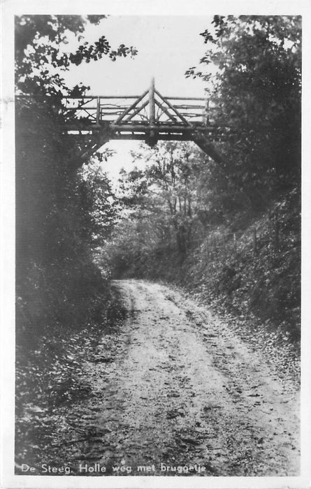 De Steeg  Holle Weg met Bruggetje