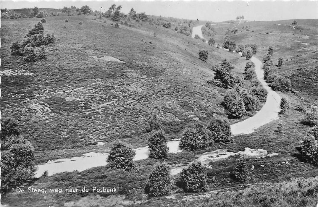 De Steeg  Weg naar de Posbank