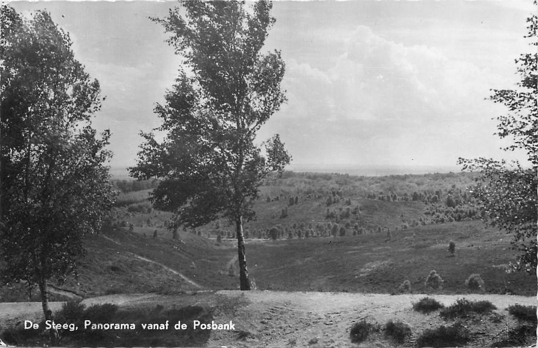 De Steeg  Panorama vanaf de Posbank