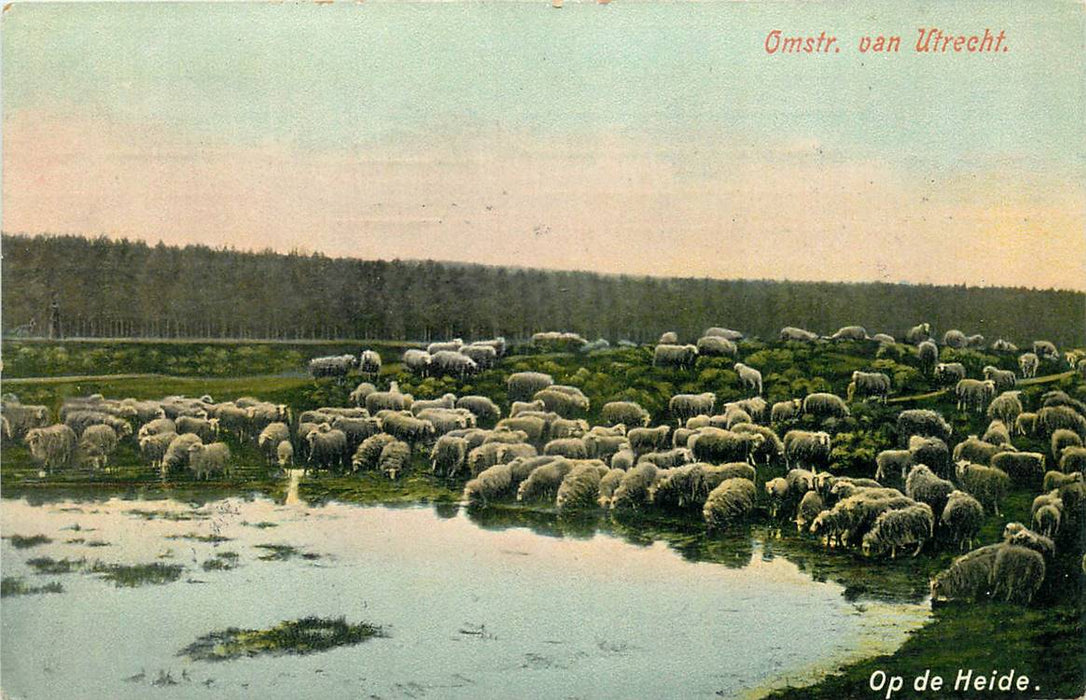 Utrecht op de Heide