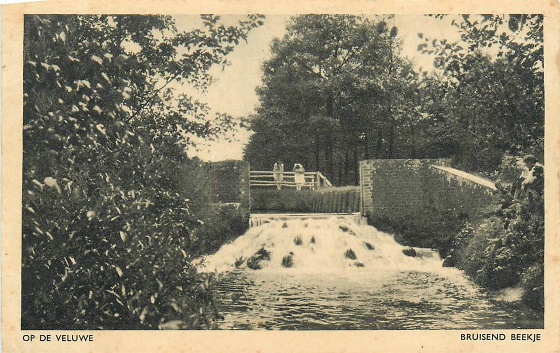 Op de Veluwe Bruisend Beekje