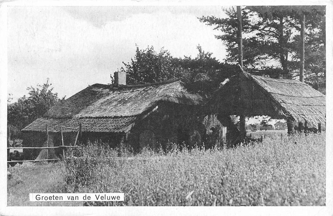 Groeten van de Veluwe