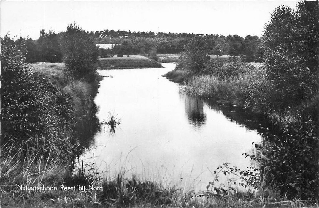 Norg Natuurschoon Reest