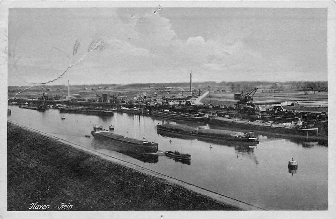 Stein L Haven