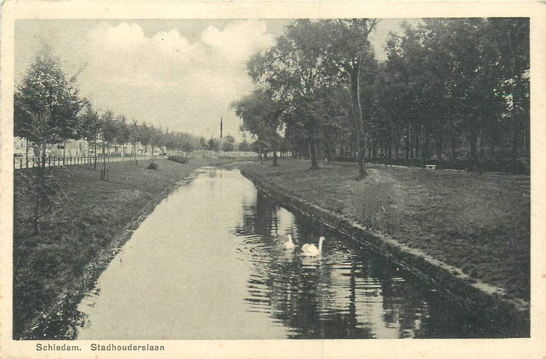 Schiedam Stadhouderslaan