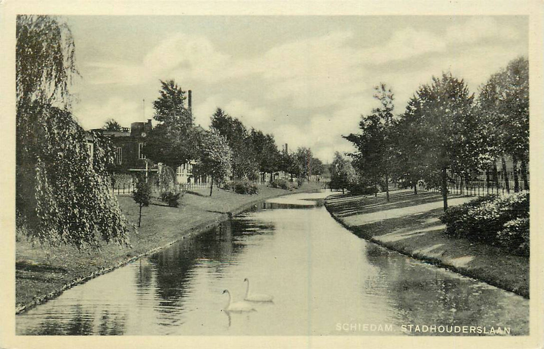 Schiedam Stadhouderslaan