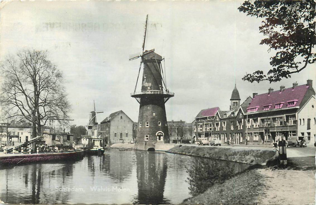 Schiedam Walvis Molen