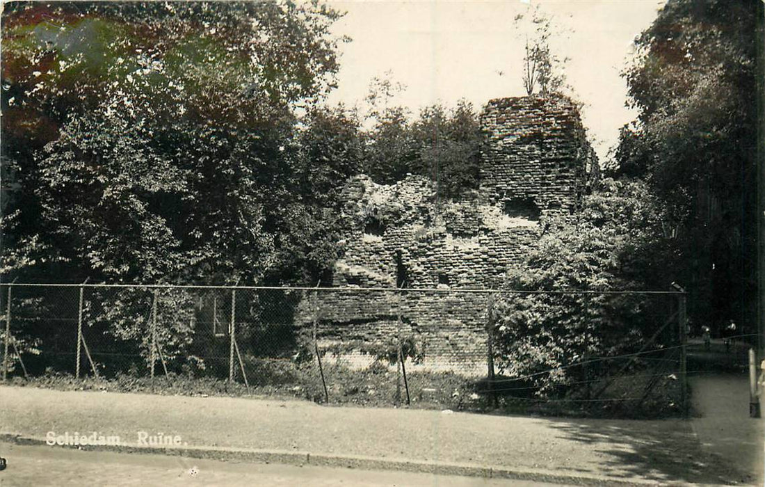 Schiedam Ruine