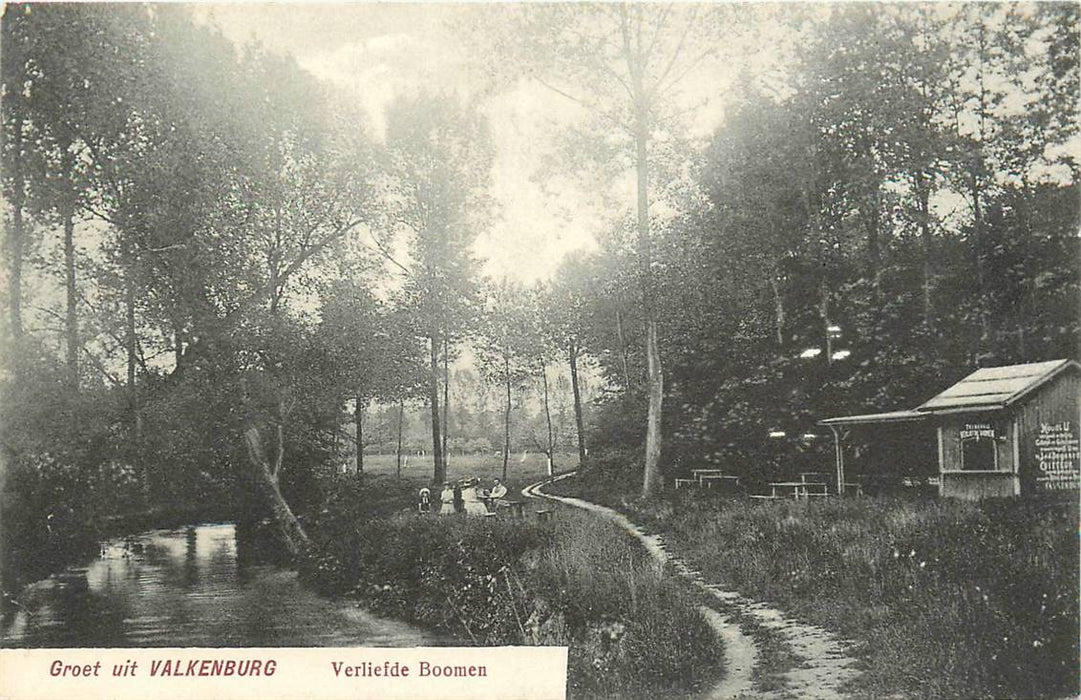 Valkenburg Verliefde boomen