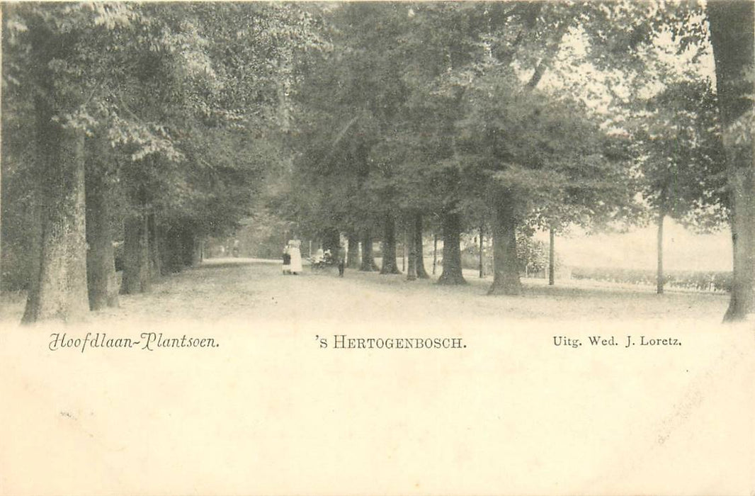 s Hertogenbosch Hoofdlaan Plantsoen
