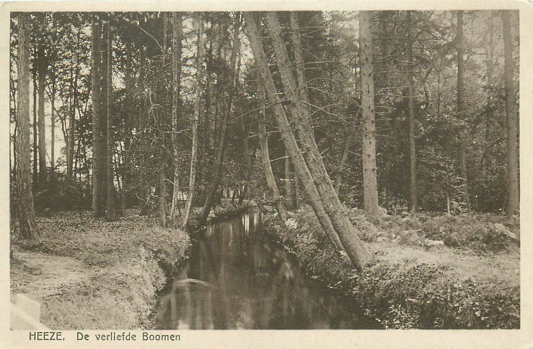 Heeze De verliefde Boomen