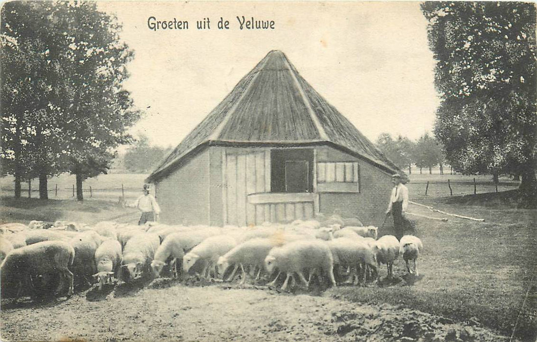 Veluwe Groeten uit de Veluwe