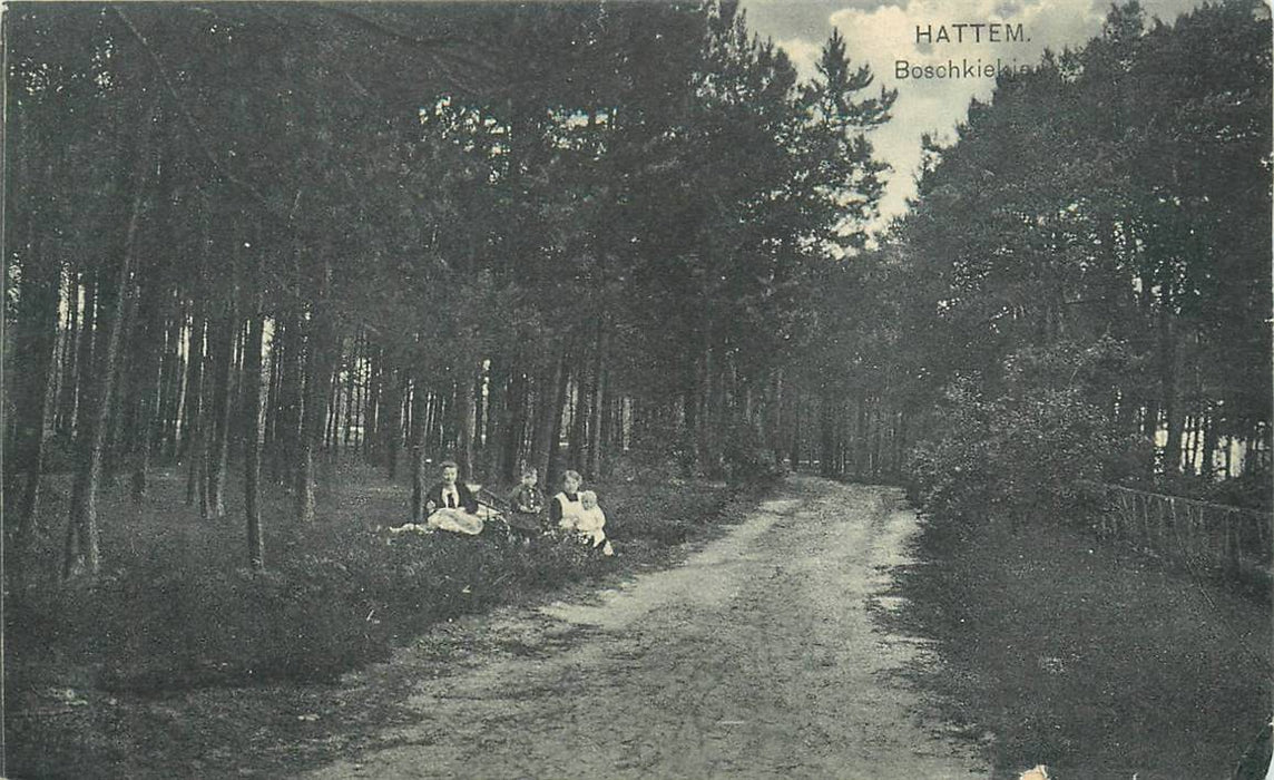 Hattem Boschkiekje