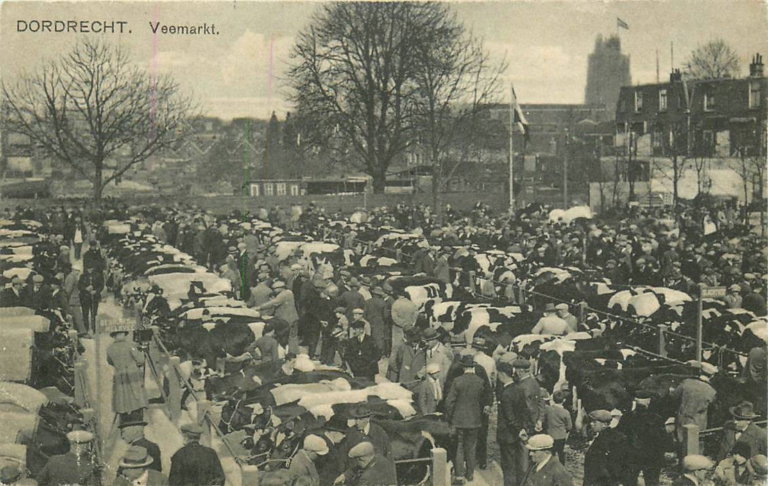 Dordrecht Veemarkt